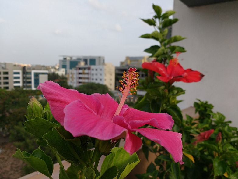 Motorola Moto G 3rd Gen Review - Sample 2